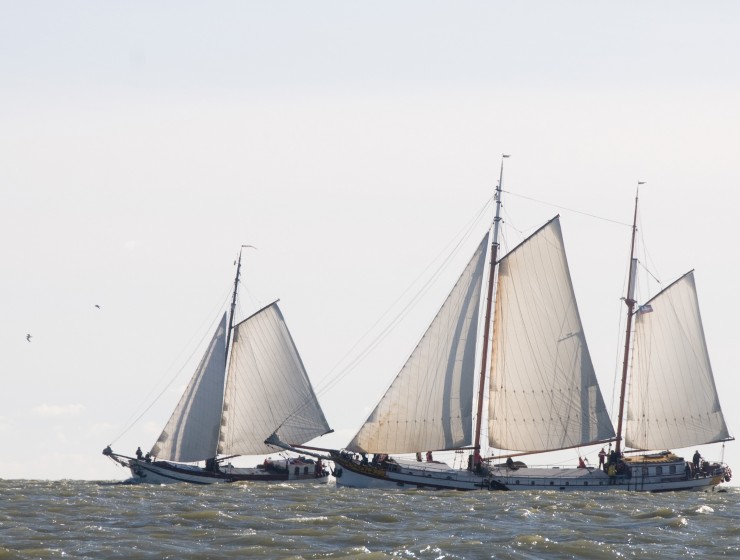 Bontekoerace Oktober 2021